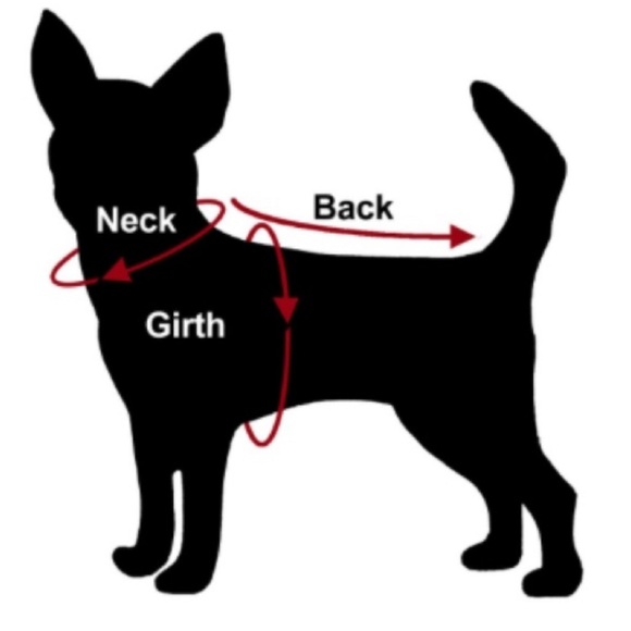 Harness and matching dog leash - Picture 4 of 4